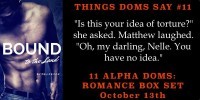 Felice Fox Teaser1