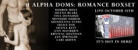 banner for FB party