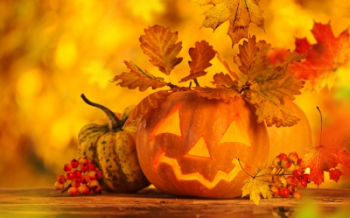 Pumpkin3
