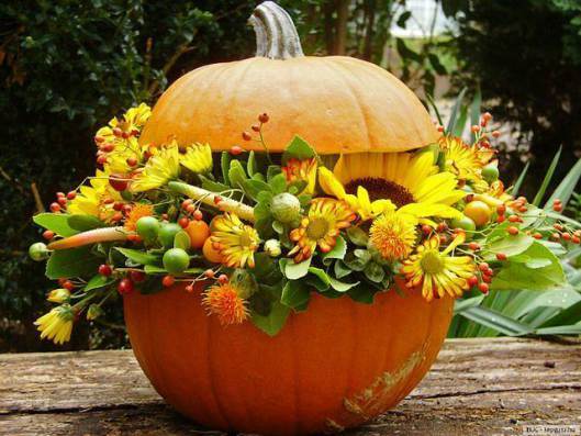 Pumpkin4