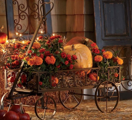 Pumpkin5