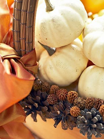 Pumpkin6