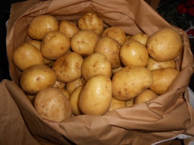 maris
