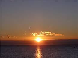 bright-horizon