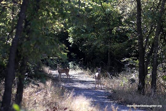 Nature Walk 10-14-2015 10-41-36 AM