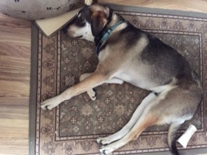 max sleeping