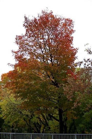 Tree Project - image 46