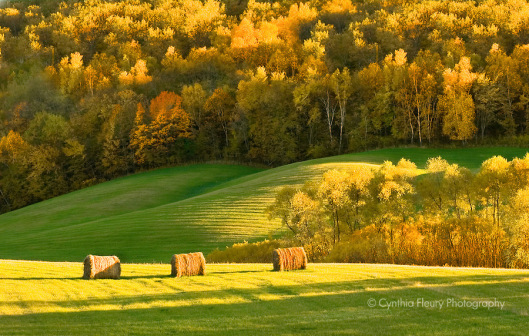 Indian Summer