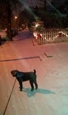 Pete in first snow, 2011