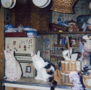 Charlotte and Samantha 001 (1)