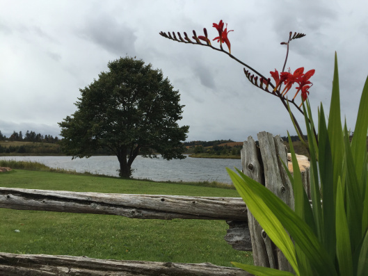 Gardens of Hope