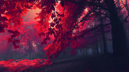 Crimson 1