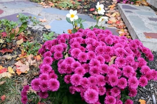 October flowers.