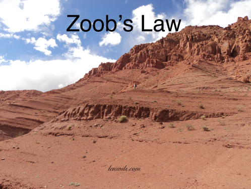 Zoob's Law
