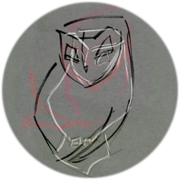 Beautiful artwork of the Barn Owl from artist Cindy Aime!