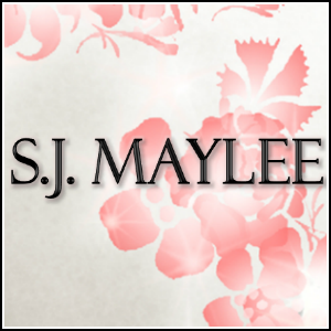 SJ Button 2 300x300 with border