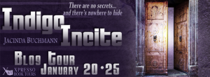 IndigoInciteTourBanner
