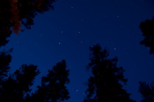 4616997151_10c21516a9_b