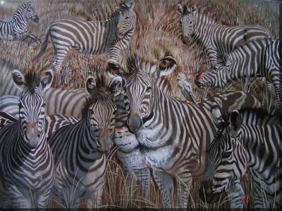 Do you see the problem? If you don't see the lion look at the problem from further!