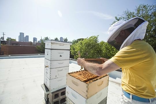 Molly M. Peterson, Photographer