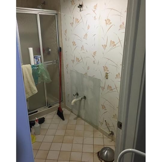 Making excellent progress! One last wall to go and the toilet and vanity are out now! #renovation #ig2015 #365days #dailyphoto