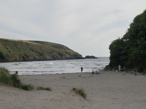 CIMG2477