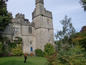 CIMG2465