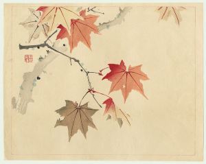 瀧和亭 Taki Katei ( 1830 - 1901 ) Maple Leaves