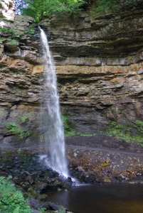 Hardraw Force