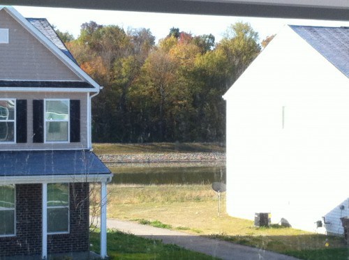 Pond View
