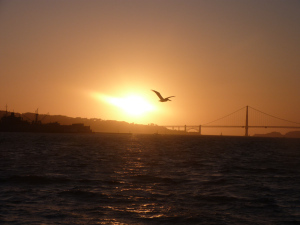 Alcatraz