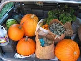 PUMPKINS, A Mother and a Mother-in-law