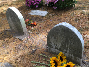 LMAMaygrave