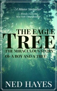 Mid-EagleTree