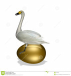 golden goose