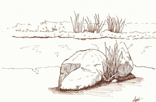 rocks along the St. Charles RIver