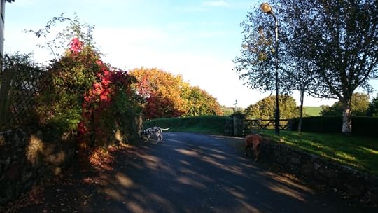 Dartmoor this morning