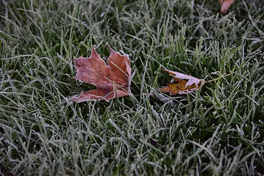 DSC_5075