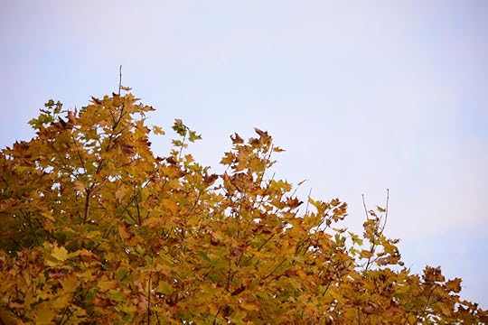 DSC_4940