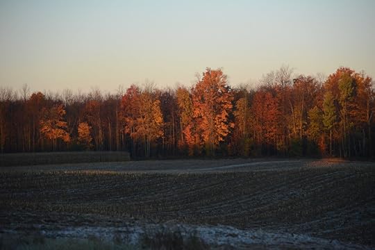 DSC_5116