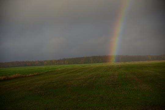 DSC_5053