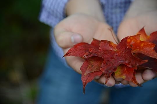 DSC_5017