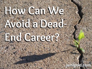 Plant growing in cement with text: How Can We Avoid a Dead-End Career?