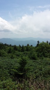 Roan1