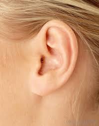 ear
