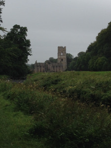 View from different path on walk back