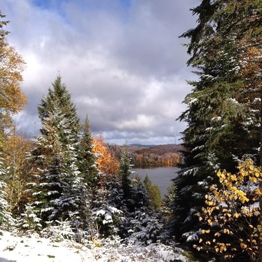 Greetings from the north pole #laurentides #quebec #igersvaldavid #igerslaurentides #oasdeja #winter