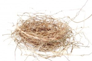 empty-nest-parent-child