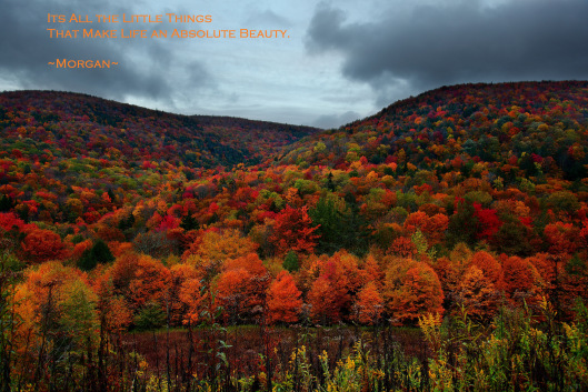 Autumn Mountain Foliage