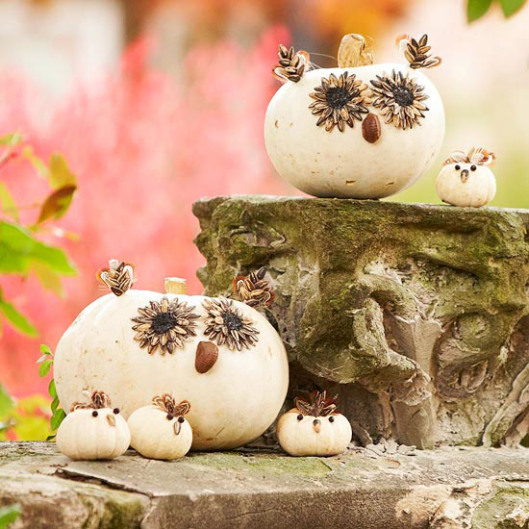 Pumpkins8